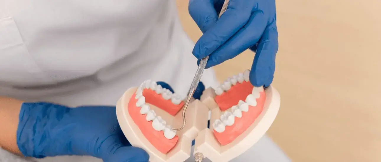 Dental assessment and diagnosis of overbite severity at Limestone Hills Orthodontics in Austin, TX. Dental assessment and diagnosis of overbite severity at Limestone Hills Orthodontics in Austin, TX.