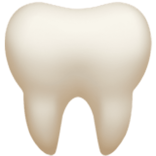 Illustration of a human molar tooth on white, representing Limestone Hills Orthodontics in Austin, TX.